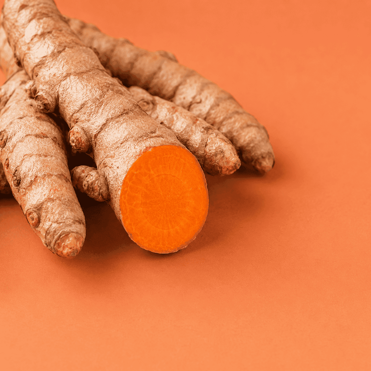 Curcuma