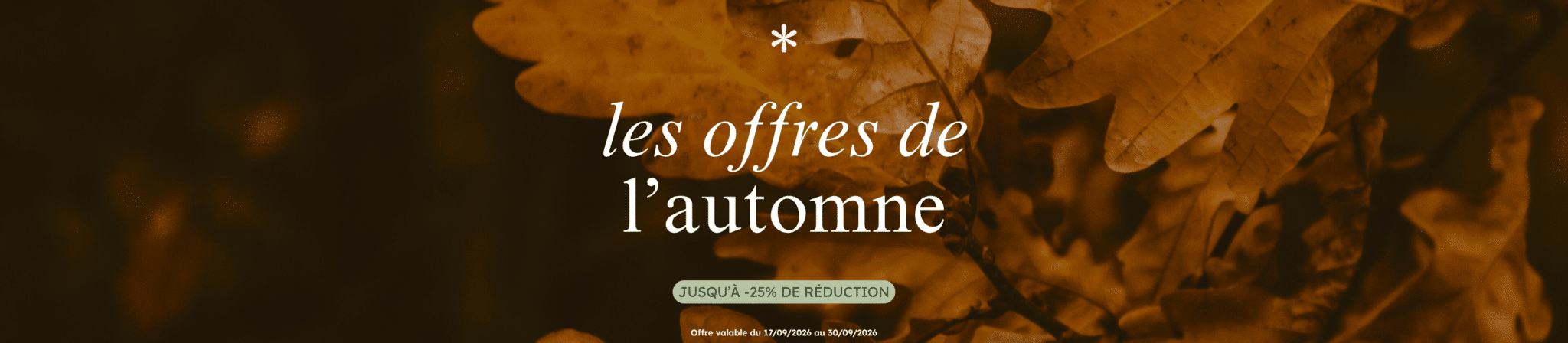 Offres Banniere cate desktop scaled